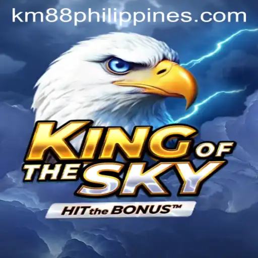KingOfTheSky: A Thrilling Journey Through the Virtual Skies